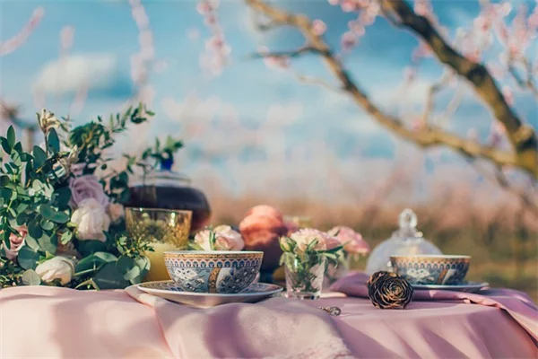 植物識別アプリ完全無料で使える？おすすめと撮影のコツ