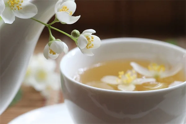 紫陽花の品種選び、性格でわかる？あなたに合う一株の見つけ方